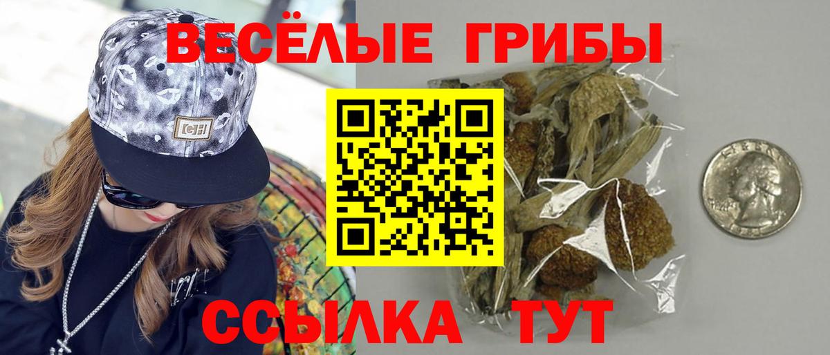 Псилоцибиновые грибы MAGIC MUSHROOMS  Псилоцибиновые грибы GOLDEN TEACHER  Рязань  Вход с VPN 