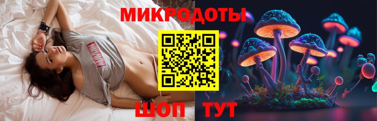 Псилоцибиновые грибы Cubensis Рязань